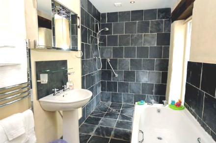 Accessible, mobility & wheelchair friendly bathroom in Wale Picture.