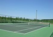 Tennis court