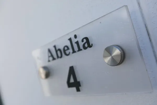 Abelia 2