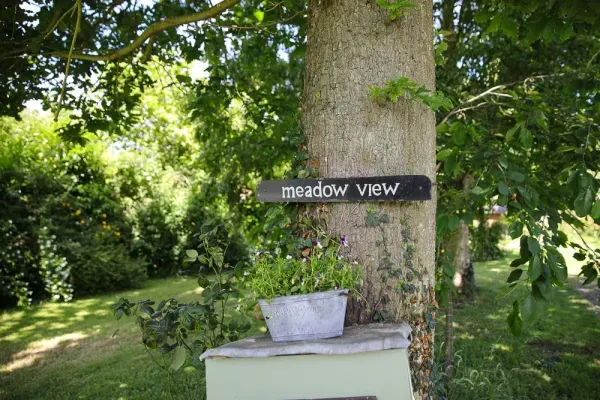 Meadow View