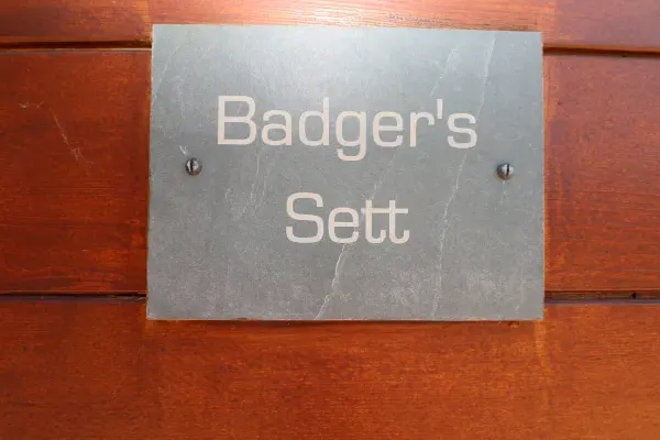 Badgers Sett 2