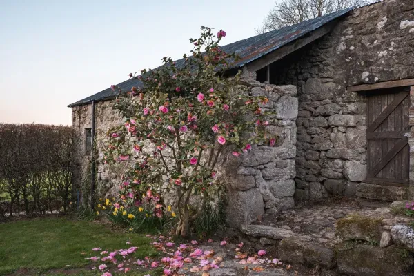 Butterwell Cottage at Collihole 21