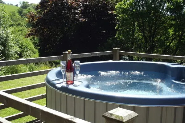 lodge with hot tub in Wales