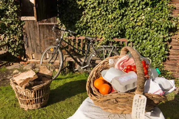 you get this lovely breakfast basket, logs and bikes