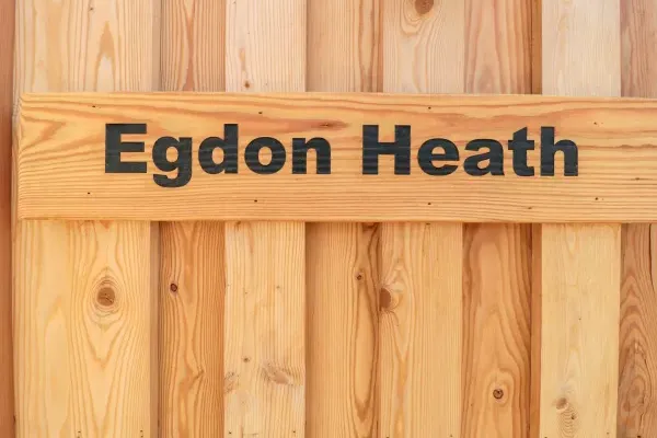 Egdon Heath 2