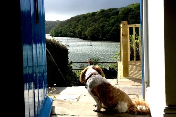 Fal River Cottage 4