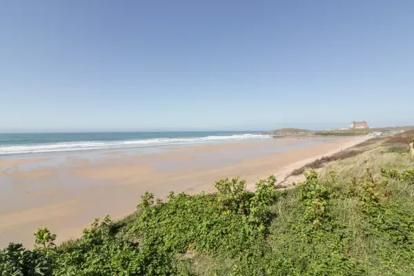 Fistral Pearl 31