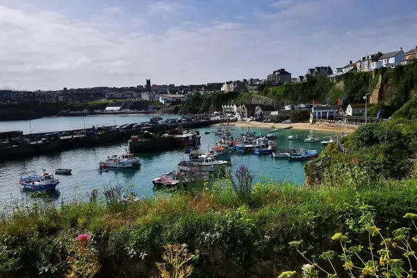 Fistral Pearl 29