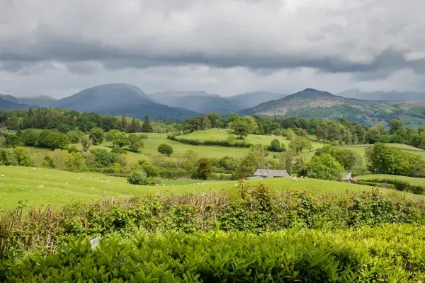 Hilltop At Hawkshead Hill 33