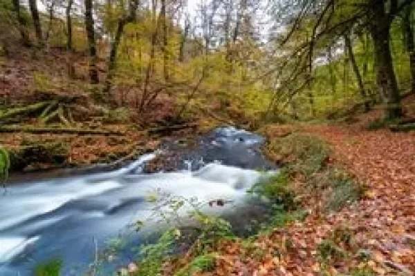 Private river at West Hollowcombe