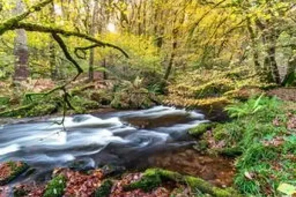 Private river at West Hollowcombe