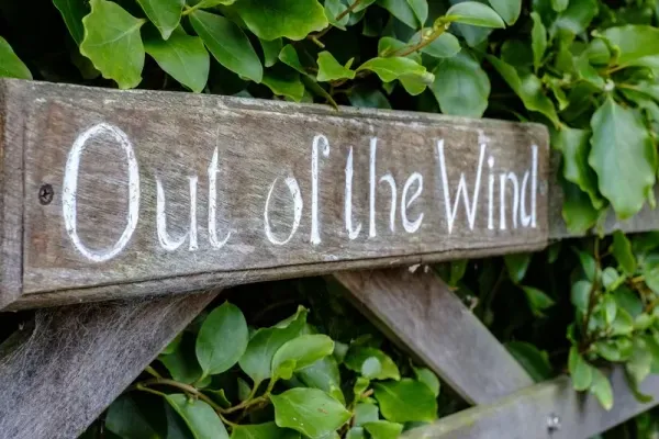 Out of the Wind 1