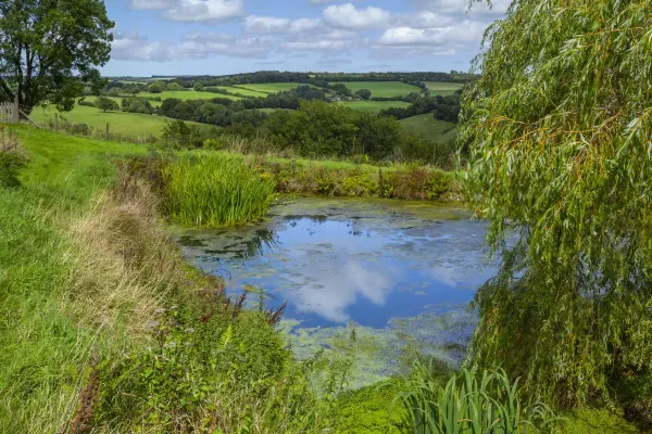 Sleeps 4 Farmstay near Dulverton 13