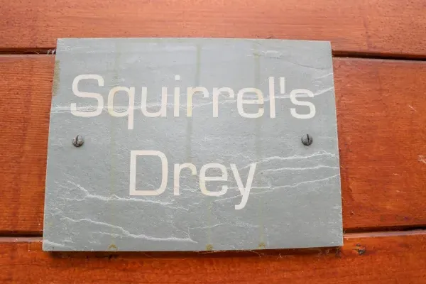 Squirrels Drey 25