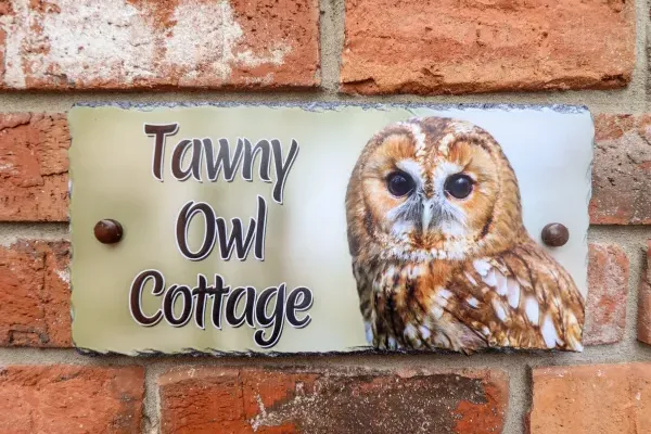 Tawny Owl Cottage 1