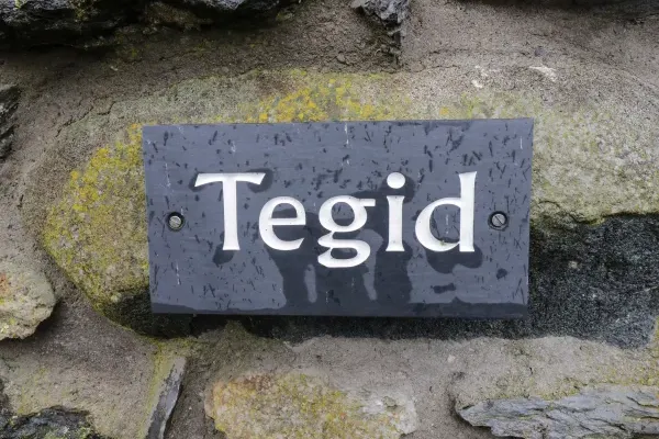 Tegid Pet-Friendly Cottage, North Wales  1