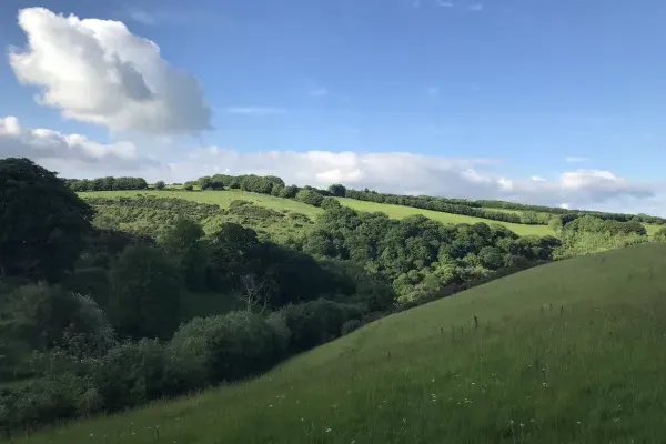 The Cowshed surrounding area of natural beauty