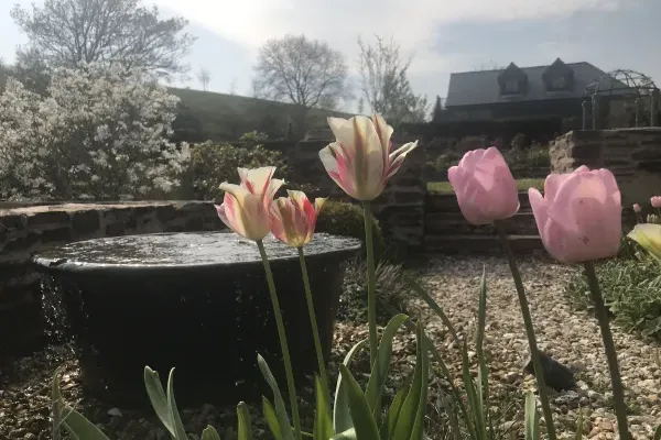 Beautiful  Tranquil gardens at Stolford Farm