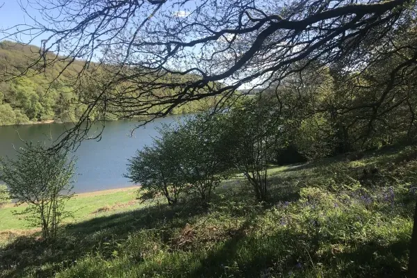 Accommodation near Clatworthy Reservoir for walks and fishing