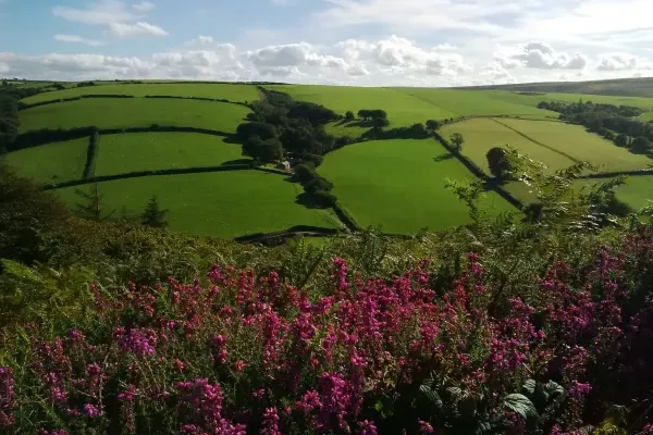 Looking across the valley to The Hayloft