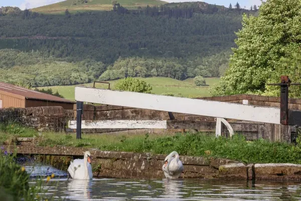 The Swans Nest Lock View 39