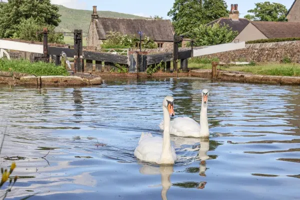 The Swans Nest Lock View 40