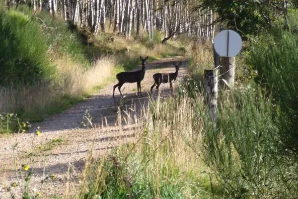 Local residents