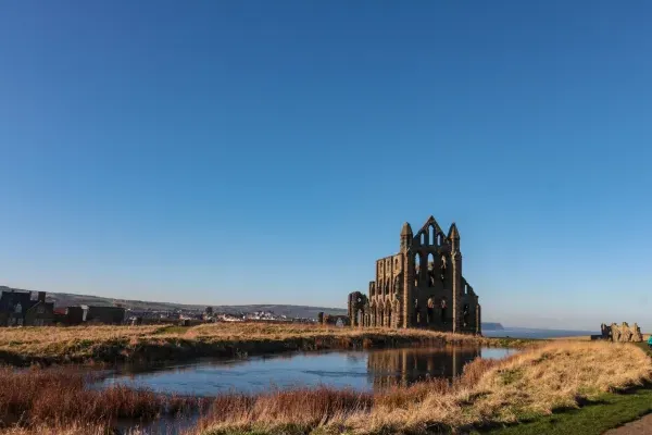 Whitby Waves 38