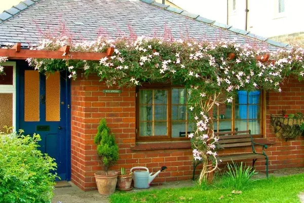 Wychwood Pet-Friendly Cottage, North York Moors & Coast  1