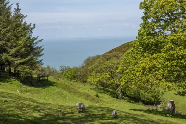 Yenworthy Mill, Countisbury 22