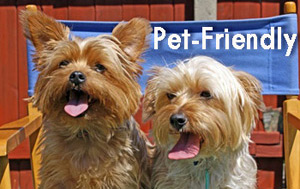 Pet-friendly luxury self-catering accommodation